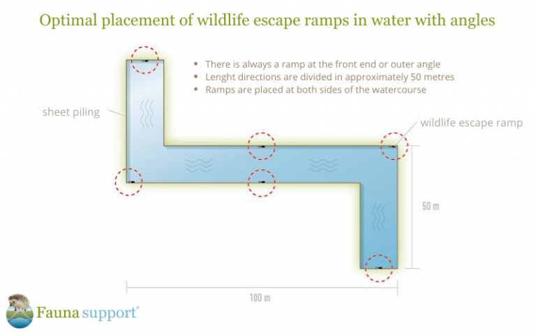 Fauna Ramps How and where - Fauna Support
